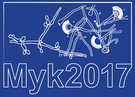 logo-myk-17-klein