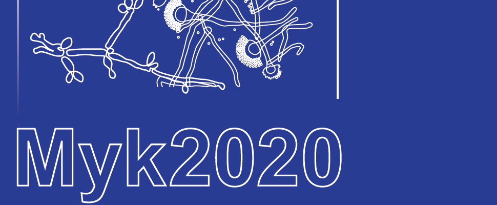 logo 2020 mit ort