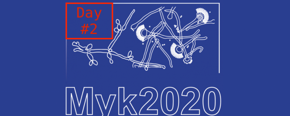 MYK-2020-breit-1024x514 DAY 2