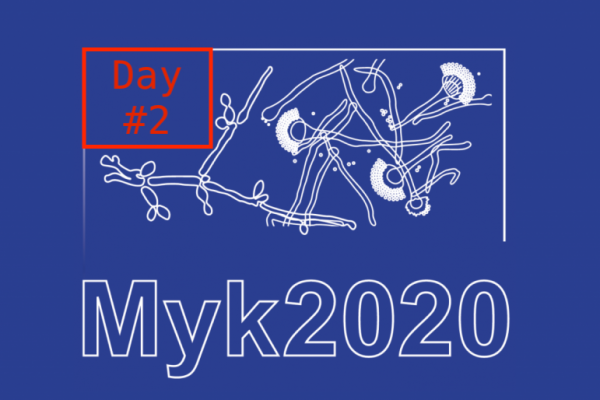 MYK-2020-breit-1024x514 DAY 2